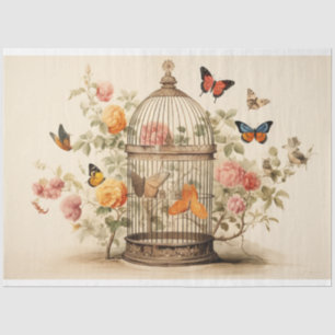 Papier Mousseline Oasis tranquille : Découpage de cage d'oiseaux
