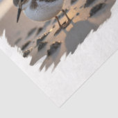 Papier Mousseline Ocean birds at sunset decoupage (Détail)