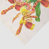 Papier Mousseline Odontoglossum Grande (Orchidée) par Jean Jules Lin (Détail)