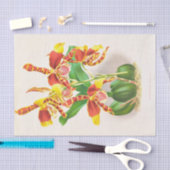 Papier Mousseline Odontoglossum Grande (Orchidée) par Jean Jules Lin (Artisanat)
