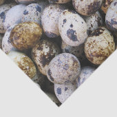 Papier Mousseline Oeufs de caille (Détail)