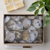 Papier Mousseline Oeufs de caille (Cadeau)