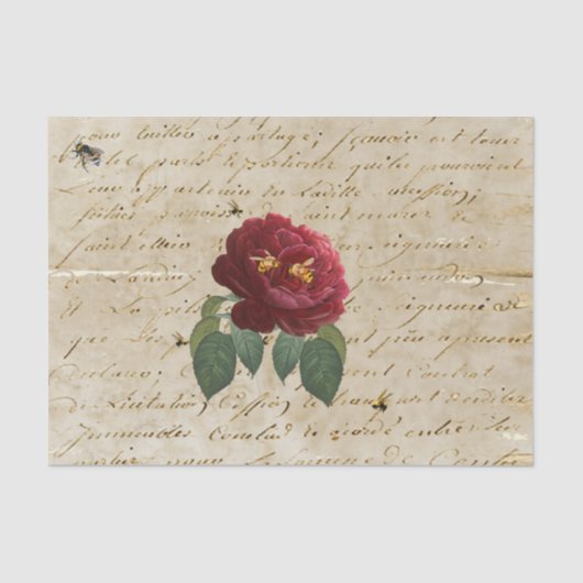 Papier Mousseline Oeufs de la Rose rouge (Recto)