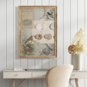 Papier Mousseline Oeufs Ephémères vintages OEufs Oiseau Script Décou