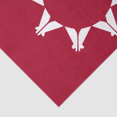 Papier Mousseline Oglala Sioux (Détail)