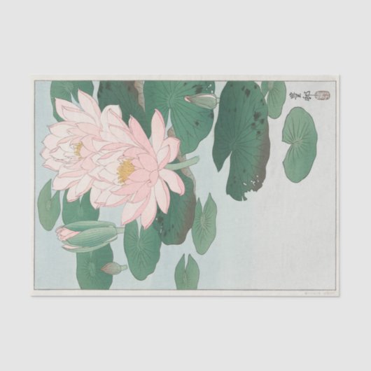 Papier Mousseline Ohara Koson | Water Lily (1920 - 1930) (Recto)