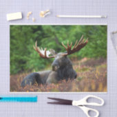 Papier Mousseline Oie (Artisanat)