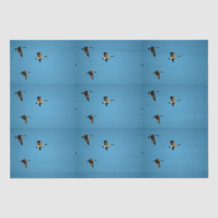 Papier Mousseline Oie canadienne en vol