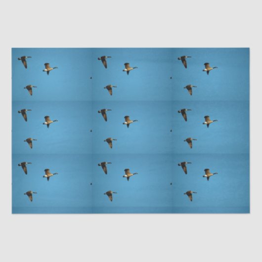 Papier Mousseline Oie canadienne en vol (Recto)