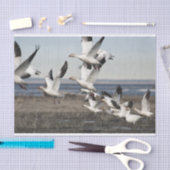 Papier Mousseline Oies des neiges volantes (Artisanat)