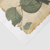 Papier Mousseline Oiseau 33 Papier Tissu De Découpage (Détail)