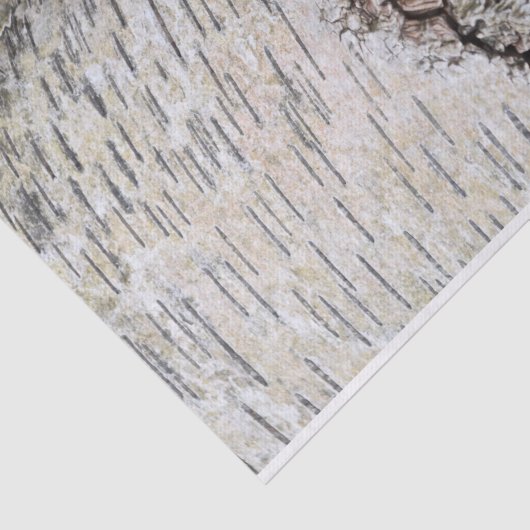 Papier Mousseline Oiseau blanc (Détail)