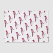 Papier Mousseline Oiseau cardinal rouge (Recto)