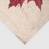 Papier Mousseline Oiseau de Chickadee Rouge Automne Feuilles Musique (Détail)