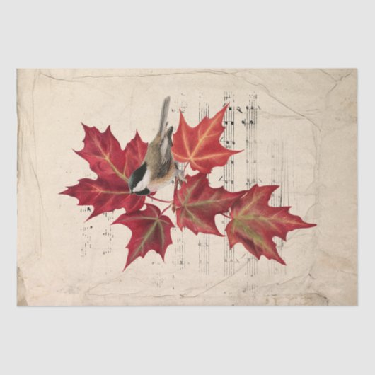 Papier Mousseline Oiseau de Chickadee Rouge Automne Feuilles Musique (Recto)