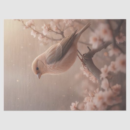 Papier Mousseline Oiseau du printemps joli en rose (Recto)