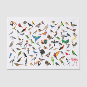 Papier Mousseline Oiseau Nerd