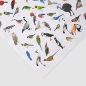 Papier Mousseline Oiseau Nerd (Détail)
