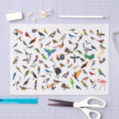 Papier Mousseline Oiseau Nerd (Artisanat)