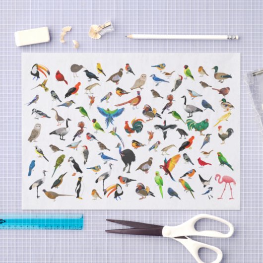 Papier Mousseline Oiseau Nerd (Artisanat)