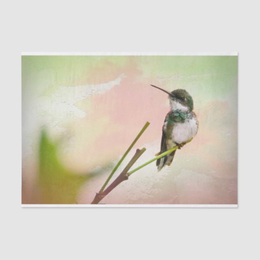 Papier Mousseline Oiseau sur un Twig & Pastel Aquarelle (Recto)