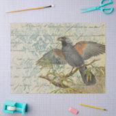 Papier Mousseline Oiseau Vintage en succursale avec décodage (Artisanat)
