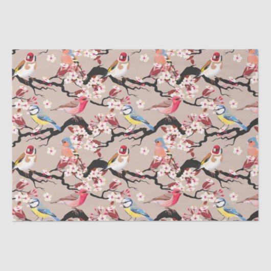 Papier Mousseline Oiseaux (Recto)