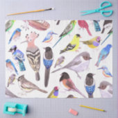 Papier Mousseline Oiseaux d'Amérique - animaux de compagnie et oisea (Artisanat)