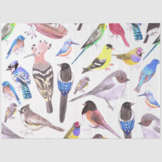 Papier Mousseline Oiseaux d'Amérique - animaux de compagnie et oisea