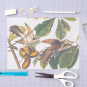 Papier Mousseline Oiseaux de cacao à bec jaune d'Audubon dans un arb (Artisanat)