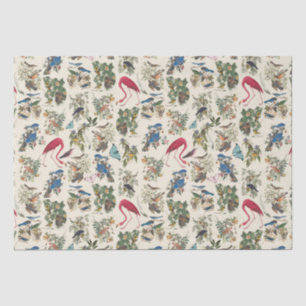 Papier Mousseline Oiseaux de John James Audubon