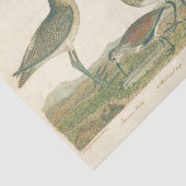Papier Mousseline Oiseaux de marais Courlis Oiseaux (Détail)