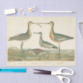 Papier Mousseline Oiseaux de marais Courlis Oiseaux (Artisanat)