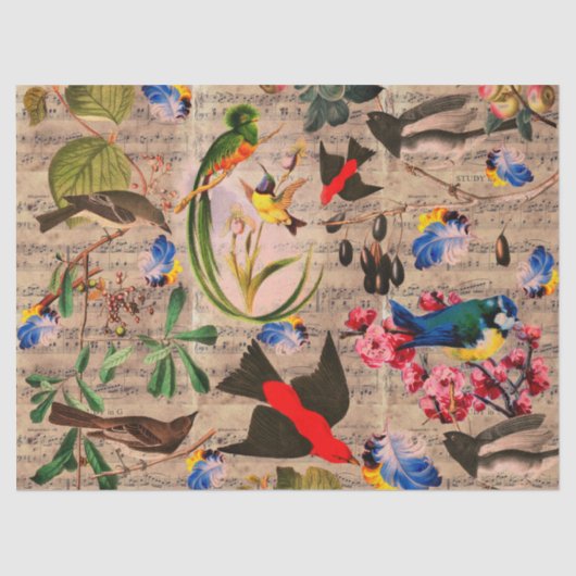 Papier Mousseline OISEAUX DE PRINTEMPS, PÊCHEURS, FRUITS Notes music (Recto)
