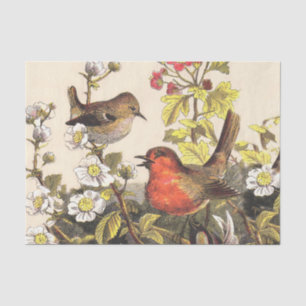 Papier Mousseline Oiseaux de printemps Robin Oiseaux rouges