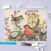 Papier Mousseline Oiseaux de printemps Robin Oiseaux rouges (Artisanat)