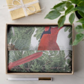 Papier Mousseline Oiseaux d'hiver Forêt Cardinal Pickadee Nuthatch (Cadeau)