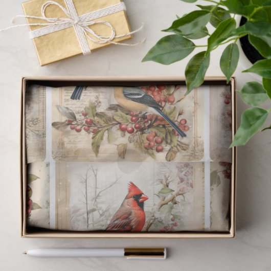 Papier Mousseline Oiseaux d'hiver neuf (Cadeau)