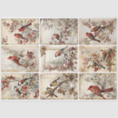 Papier Mousseline Oiseaux d'hiver neuf (Recto)