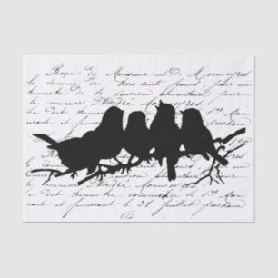 Papier Mousseline Oiseaux en Branche Découpage en silhouette noire F