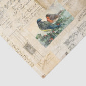 Papier Mousseline Oiseaux en détresse et document Ephemera papier de (Détail)