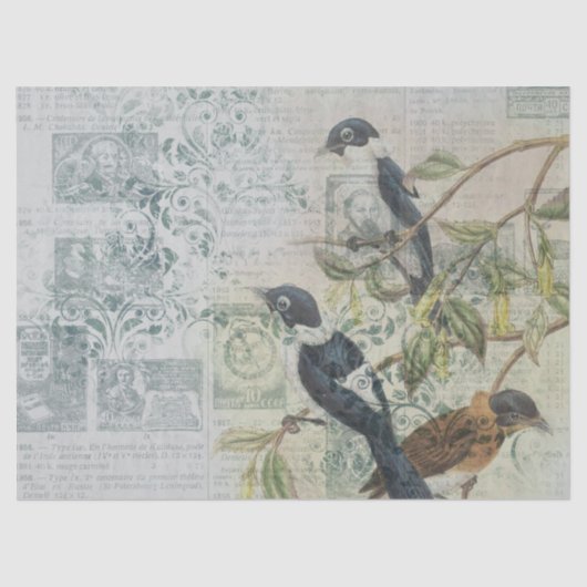 Papier Mousseline Oiseaux éphémères série Conception Quatorze (Recto)