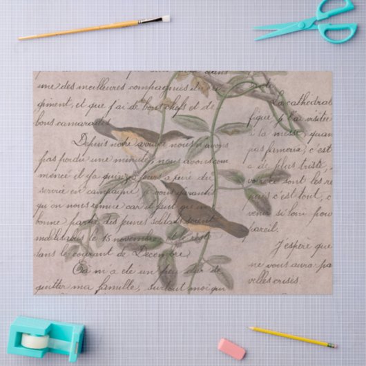 Papier Mousseline Oiseaux éphémères série Design Cinq (Artisanat)