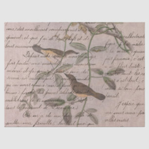 Papier Mousseline Oiseaux éphémères série Design Cinq