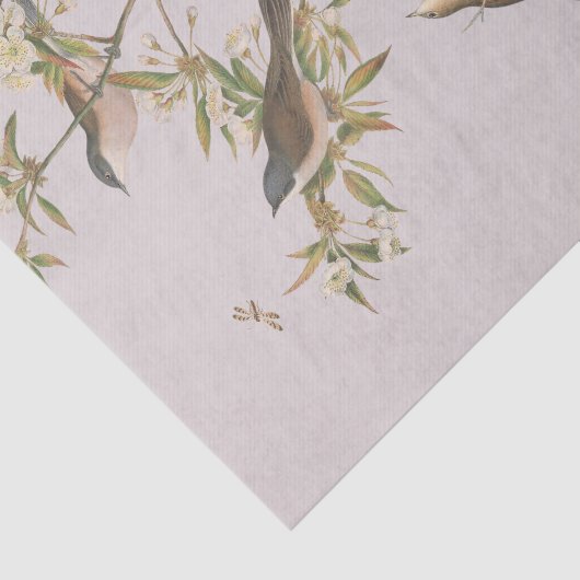 Papier Mousseline Oiseaux et feuille, mariage romantique (Détail)