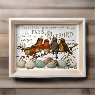 Papier Mousseline Oiseaux et Oeufs Vintages Noms de ville Français D