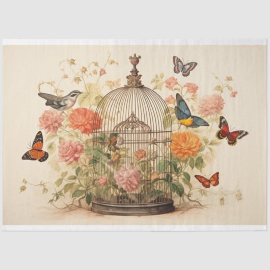 Papier Mousseline Oiseaux et papillons : Découpage de cage d'oiseaux (Recto)