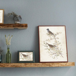 Papier Mousseline Oiseaux sur la page de découpage de parchemin de f