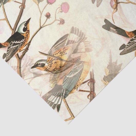 Papier Mousseline Oiseaux sur une branche (Détail)
