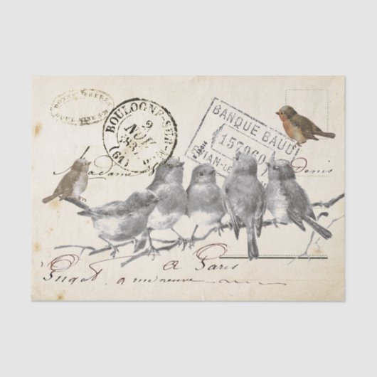 Papier Mousseline Oiseaux sur une succursale French Postmark Collage (Recto)